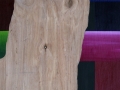 20 Overvecht 20  42,5 x 36,5 cm Acrylic on wood Astrid M G Rubie 2011